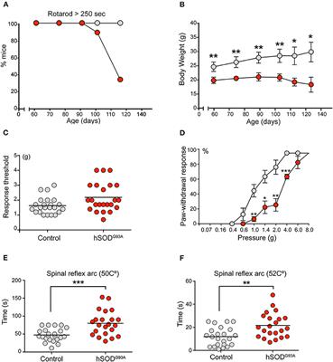 Satellite Glial Cells of the Dorsal Root Ganglion: A New “Guest/Physiopathological Target” in ALS